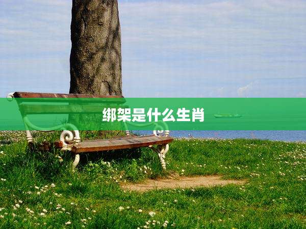 绑架是什么生肖
