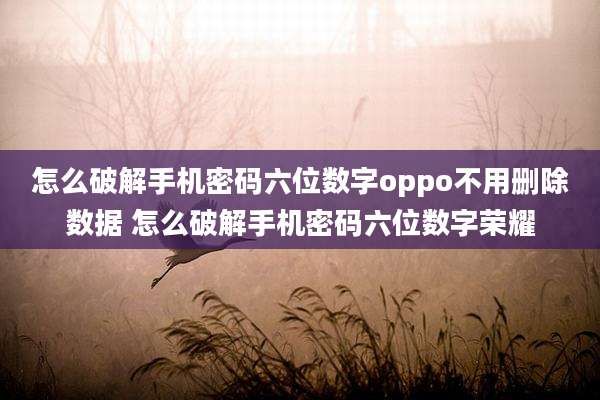 怎么破解手机密码六位数字oppo不用删除数据 怎么破解手机密码六位数字荣耀