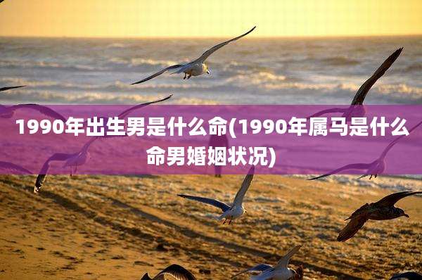 1990年出生男是什么命(1990年属马是什么命男婚姻状况)