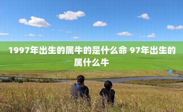 1997年出生的属牛的是什么命 97年出生的属什么牛