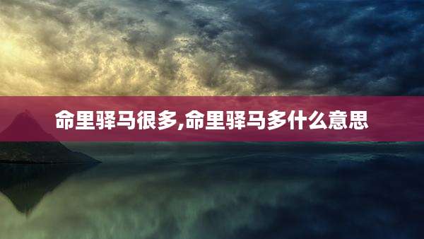 命里驿马很多,命里驿马多什么意思