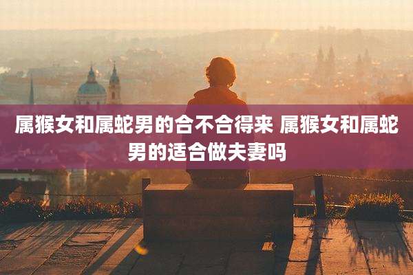 属猴女和属蛇男的合不合得来 属猴女和属蛇男的适合做夫妻吗