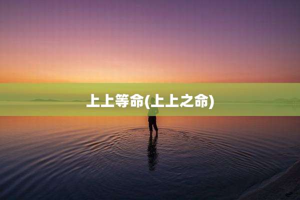 上上等命(上上之命)