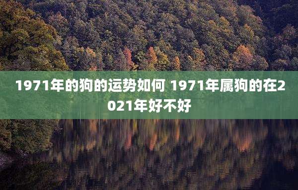 1971年的狗的运势如何 1971年属狗的在2021年好不好