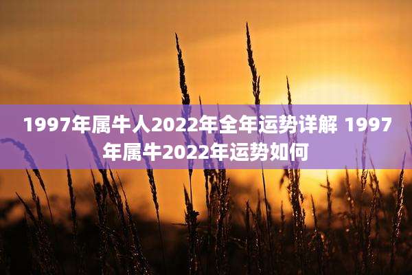 1997年属牛人2022年全年运势详解 1997年属牛2022年运势如何