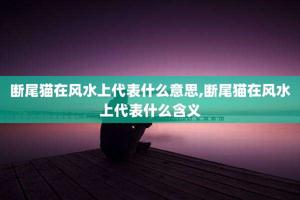 断尾猫在风水上代表什么意思,断尾猫在风水上代表什么含义