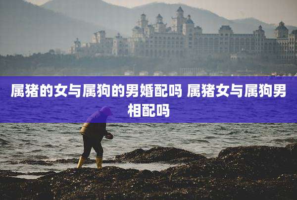 属猪的女与属狗的男婚配吗 属猪女与属狗男相配吗