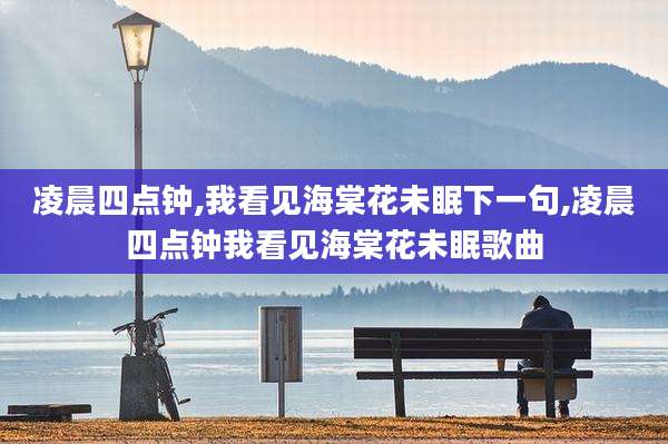 凌晨四点钟,我看见海棠花未眠下一句,凌晨四点钟我看见海棠花未眠歌曲