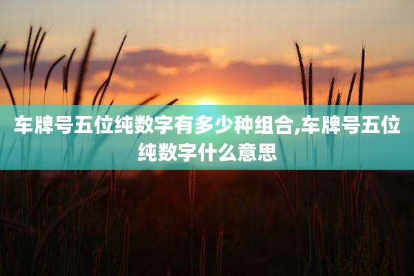 车牌号五位纯数字有多少种组合,车牌号五位纯数字什么意思
