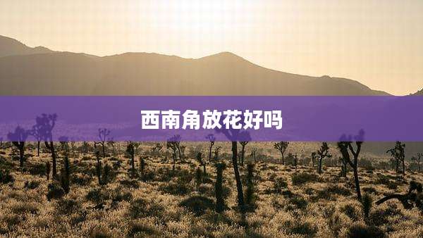西南角放花好吗