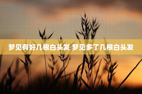 梦见有好几根白头发 梦见多了几根白头发