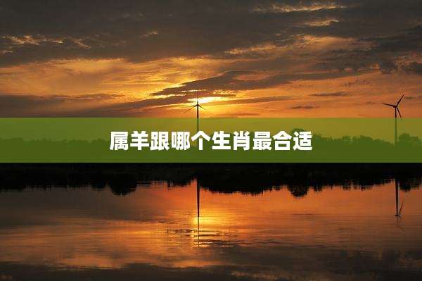 属羊跟哪个生肖最合适