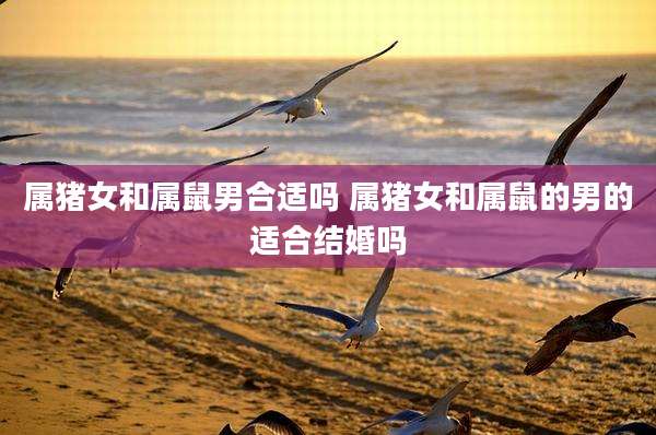 属猪女和属鼠男合适吗 属猪女和属鼠的男的适合结婚吗