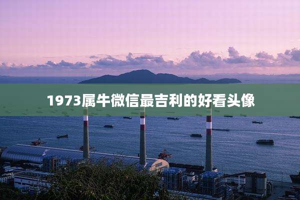 1973属牛微信最吉利的好看头像