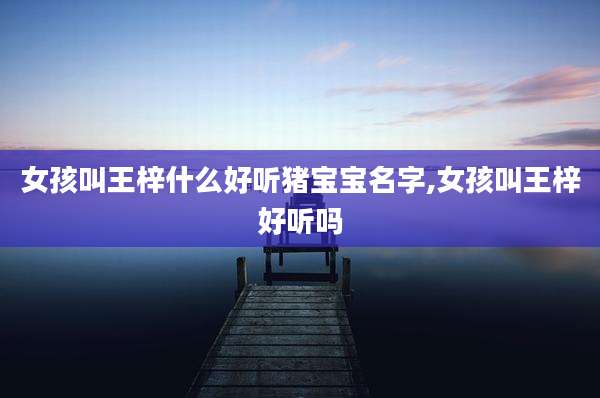 女孩叫王梓什么好听猪宝宝名字,女孩叫王梓好听吗