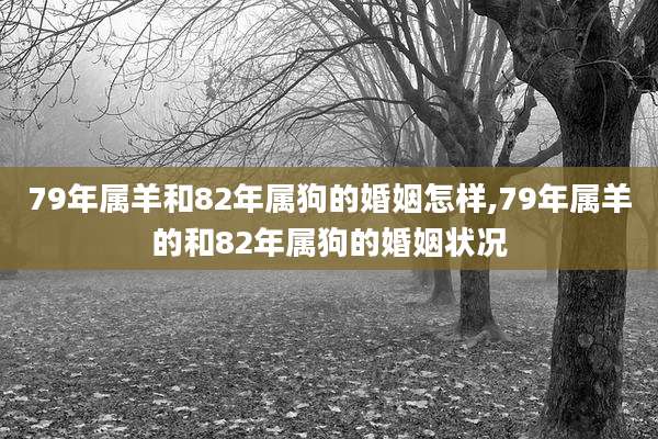 79年属羊和82年属狗的婚姻怎样,79年属羊的和82年属狗的婚姻状况