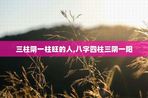 三柱阴一柱旺的人,八字四柱三阴一阳