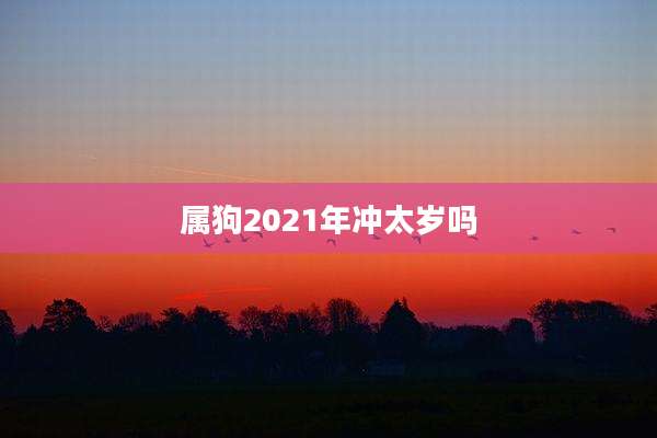 属狗2021年冲太岁吗