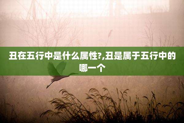丑在五行中是什么属性?,丑是属于五行中的哪一个