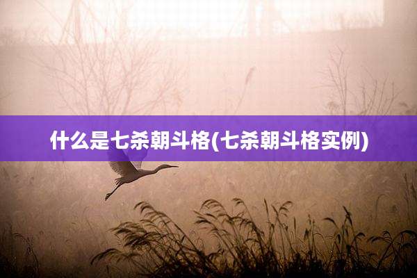 什么是七杀朝斗格(七杀朝斗格实例)