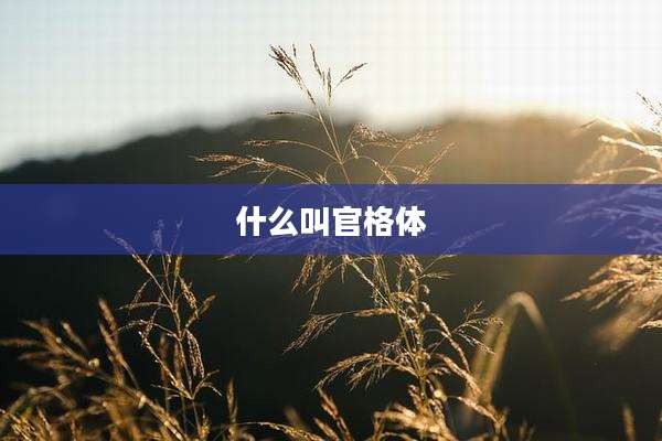 什么叫官格体