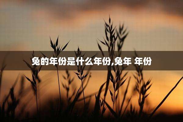 兔的年份是什么年份,兔年 年份