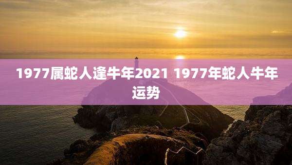 1977属蛇人逢牛年2021 1977年蛇人牛年运势