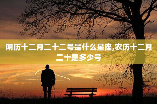 阴历十二月二十二号是什么星座,农历十二月二十是多少号