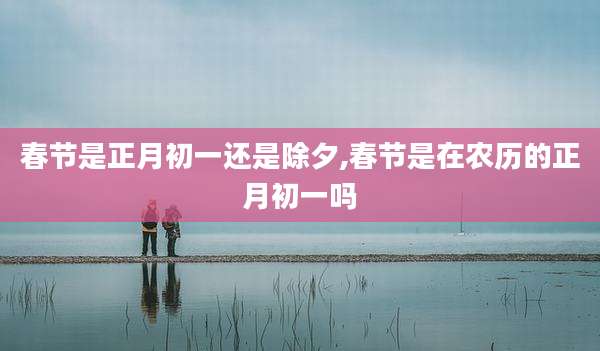 春节是正月初一还是除夕,春节是在农历的正月初一吗