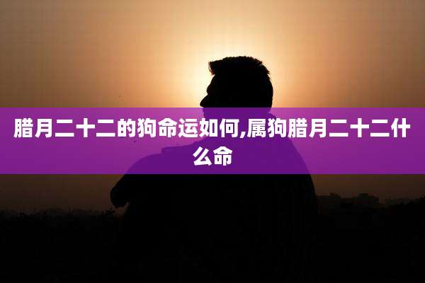 腊月二十二的狗命运如何,属狗腊月二十二什么命