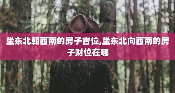 坐东北朝西南的房子吉位,坐东北向西南的房子财位在哪