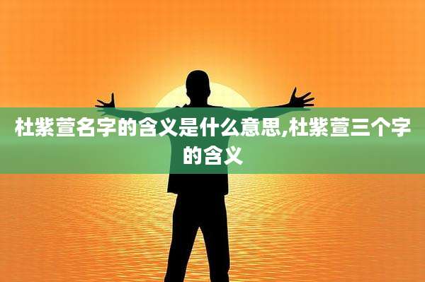 杜紫萱名字的含义是什么意思,杜紫萱三个字的含义