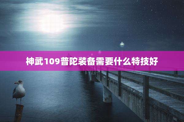 神武109普陀装备需要什么特技好