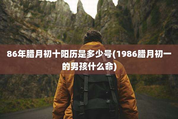 86年腊月初十阳历是多少号(1986腊月初一的男孩什么命)