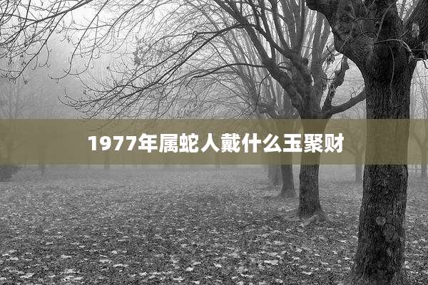 1977年属蛇人戴什么玉聚财