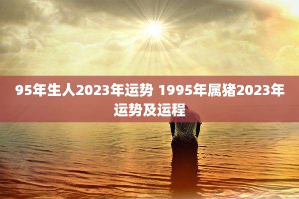 95年生人2023年运势 1995年属猪2023年运势及运程