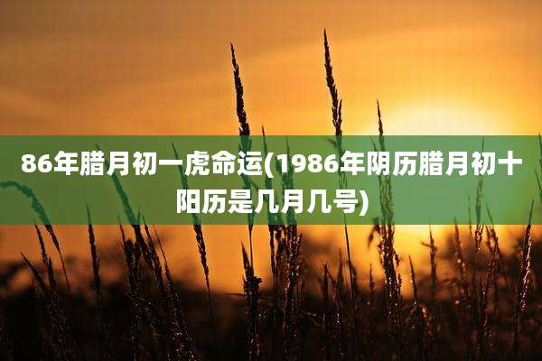 86年腊月初一虎命运(1986年阴历腊月初十阳历是几月几号)