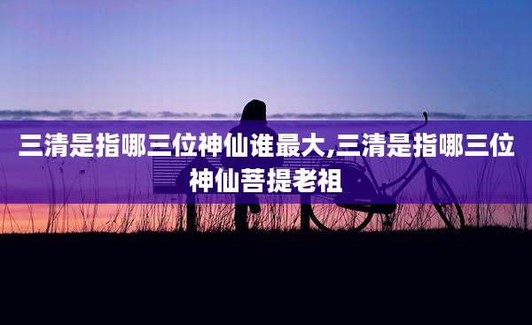 三清是指哪三位神仙谁最大,三清是指哪三位神仙菩提老祖
