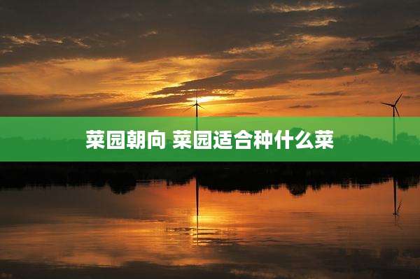 菜园朝向 菜园适合种什么菜