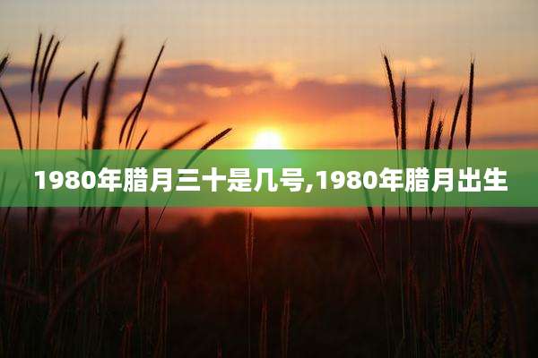1980年腊月三十是几号,1980年腊月出生