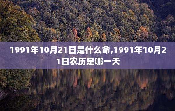 1991年10月21日是什么命,1991年10月21日农历是哪一天