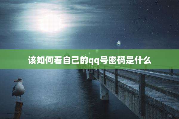 该如何看自己的qq号密码是什么