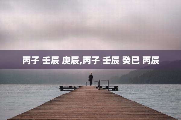 丙子 壬辰 庚辰,丙子 壬辰 癸巳 丙辰