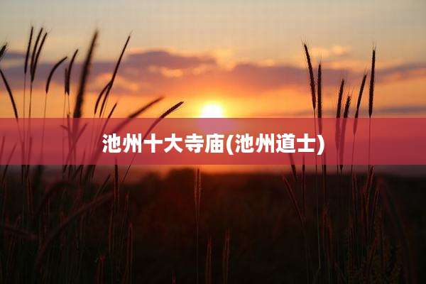 池州十大寺庙(池州道士)