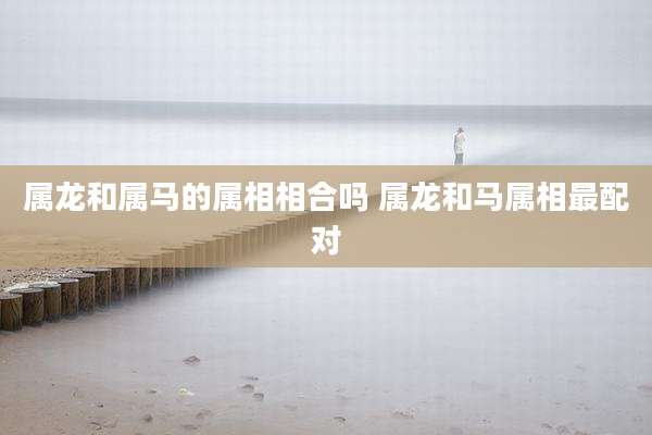 属龙和属马的属相相合吗 属龙和马属相最配对