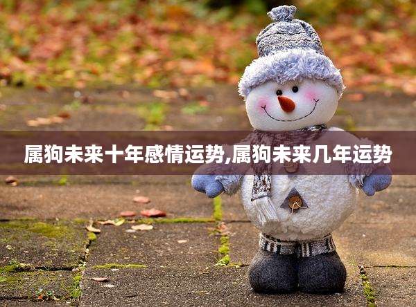 属狗未来十年感情运势,属狗未来几年运势