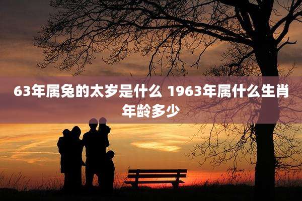 63年属兔的太岁是什么 1963年属什么生肖年龄多少