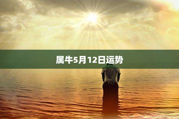 属牛5月12日运势