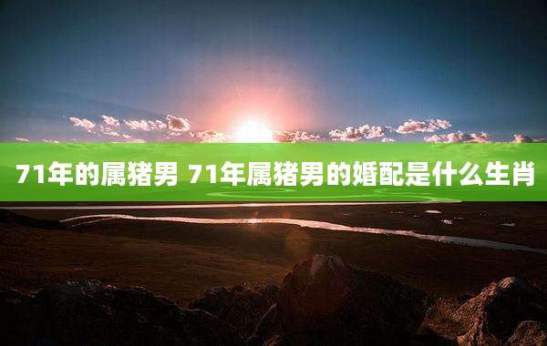 71年的属猪男 71年属猪男的婚配是什么生肖