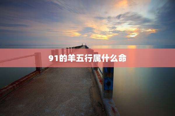 91的羊五行属什么命